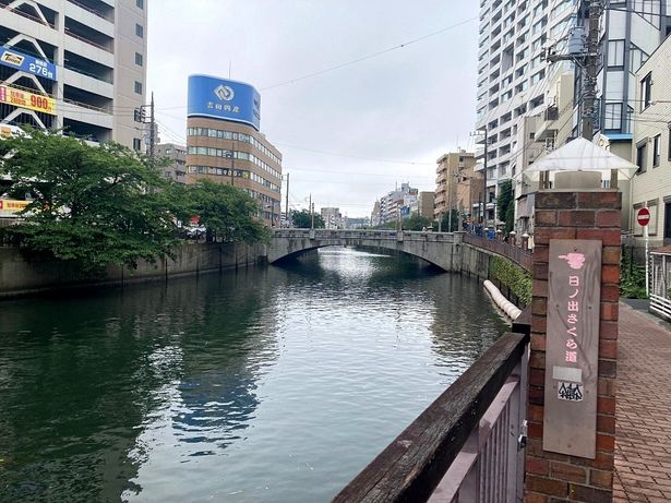 ボートチェイスシーンも印象的な大岡川