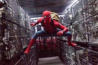 これだけ読めば大丈夫！『スパイダーマン：ファー・フロム・ホーム』＆『ノー・ウェイ・ホーム』を観る前に知っておきたいアイアンマンとの絆やサノスの“指パッチン”｜最新の映画ニュースならMOVIE  WALKER PRESS