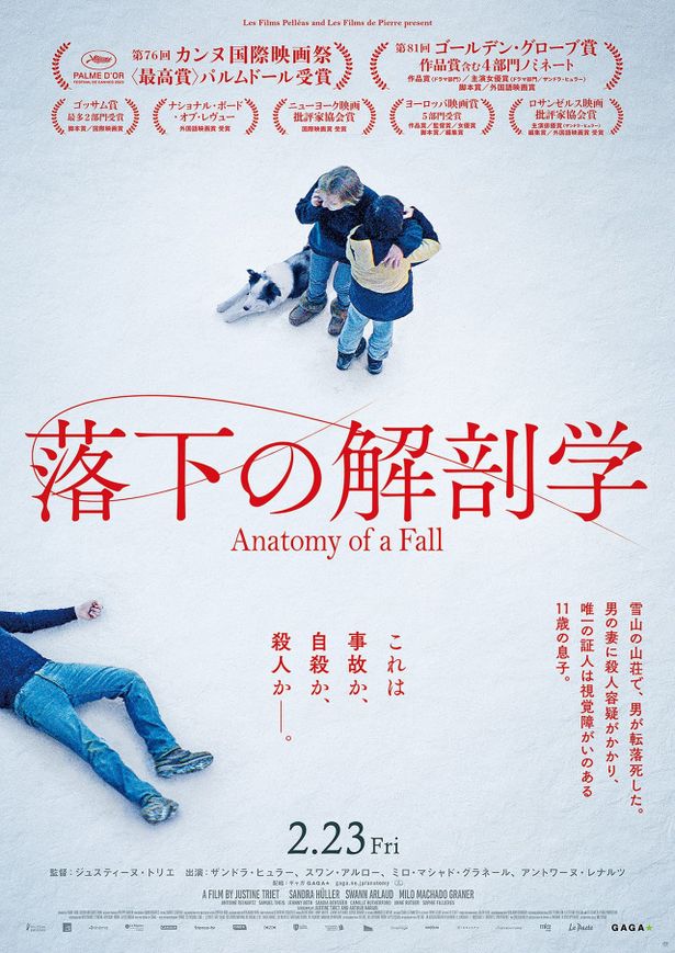 【写真を見る】「これは事故か、自殺か、殺人かー」というキャッチコピーが印象的な『落下の解剖学』本ポスター