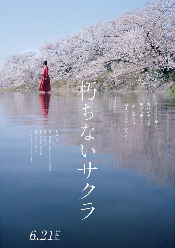 「孤狼の血」の柚月裕子原作の警察ミステリー『朽ちないサクラ』杉咲花主演で映画化決定