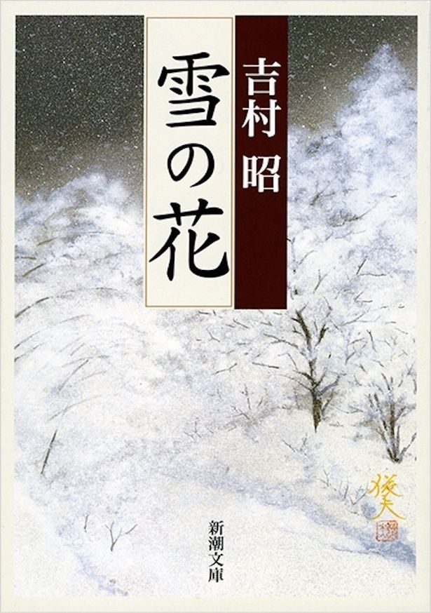 【写真を見る】原作は吉村昭が1988年に発表した小説「雪の花」