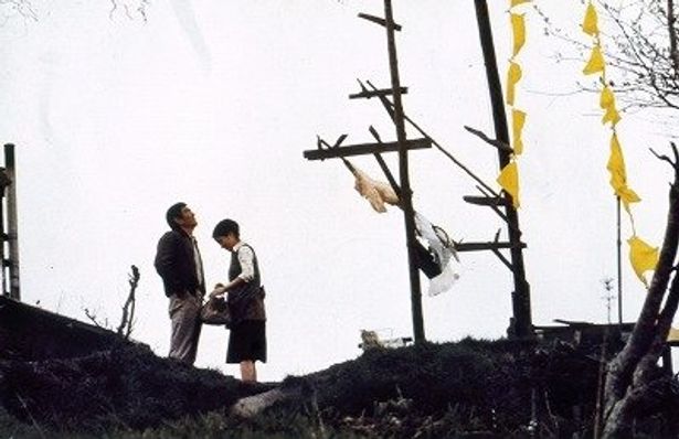 高倉健主演、山田洋次監督作『幸福の黄色いハンカチ(デジタルリマスター版)』