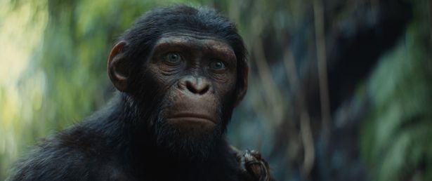 『猿の惑星／キングダム』の主人公は、独裁者から家族を守るため立ち上がる若き猿ノア