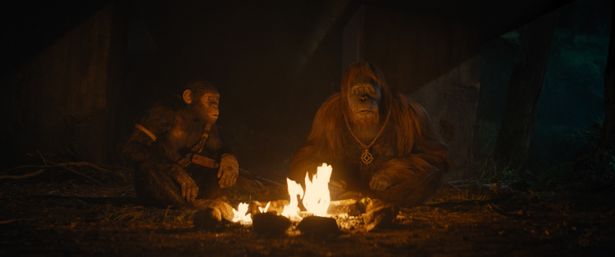 ラカはノアに人間と猿が共存していた時代を教える