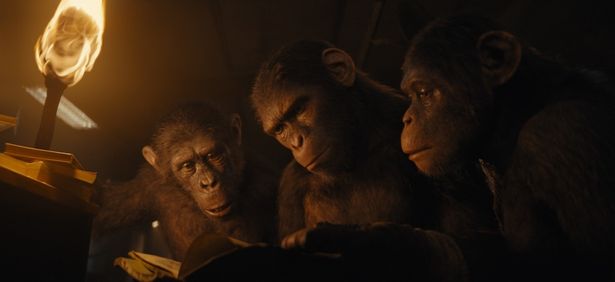 人類は退化し、猿たちが知能を持ち、進化してきた(『猿の惑星／キングダム』)