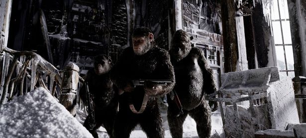 アルファ・オメガ部隊への復讐のため、シーザーは群れを離れて旅立つ(『猿の惑星：聖戦記(グレート・ウォー)』)