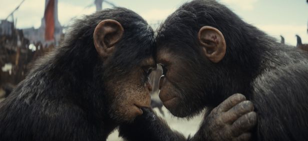 世界最高峰の VFXスタジオ、WETAデジタルの驚異的な映像に注目したい『猿の惑星／キングダム』