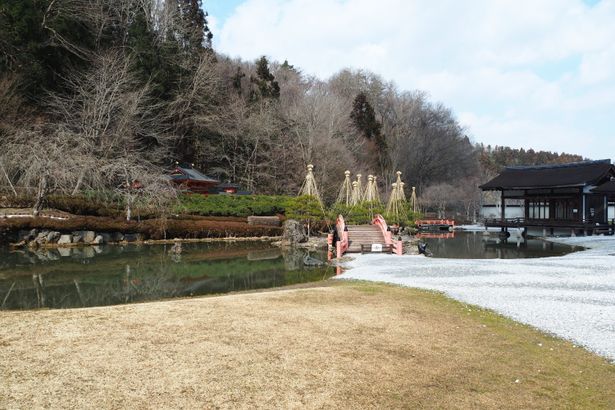 池には鯉が泳いでおり、天気のいい日は特に気持ちがいい場所だ