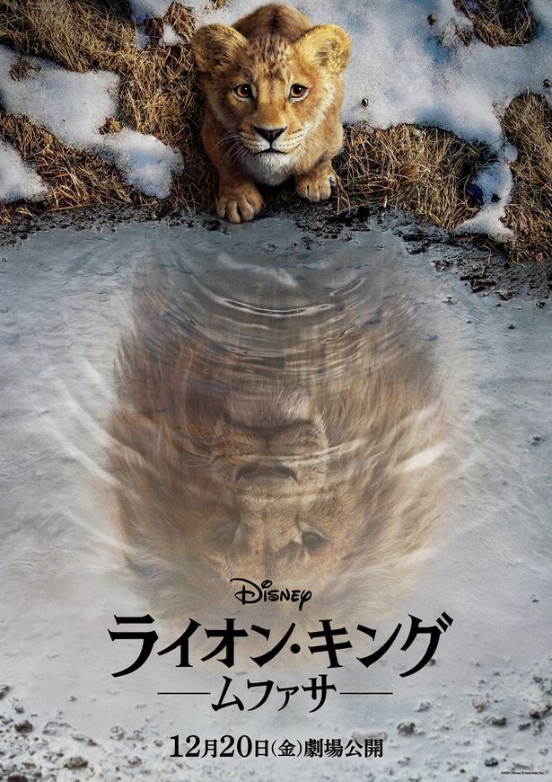 【写真を見る】12月20日(金)に全国公開される映画『ライオン・キング：ムファサ』のティザーポスター