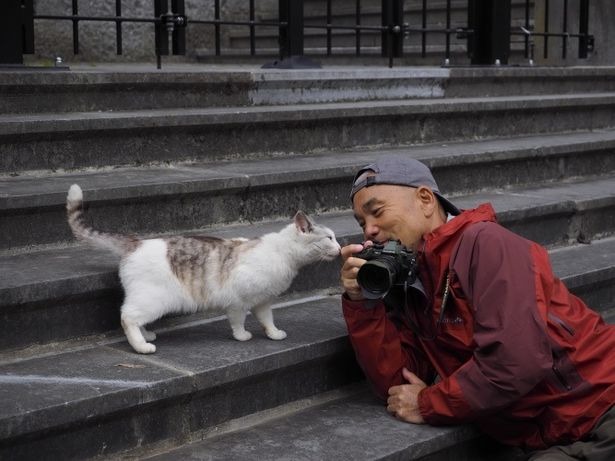 岩合さんはネコを愛し、ネコに愛された男！