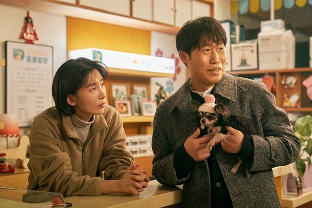 孤独を抱えた人々とチャーミングな犬たちの偶然の出会いを描く『DOG DAYS 君といつまでも』