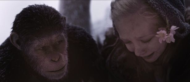 猿の惑星 最新作を見る前に リーダー猿 シーザーの軌跡を特別映像でおさらい 最新の映画ニュースならmovie Walker Press