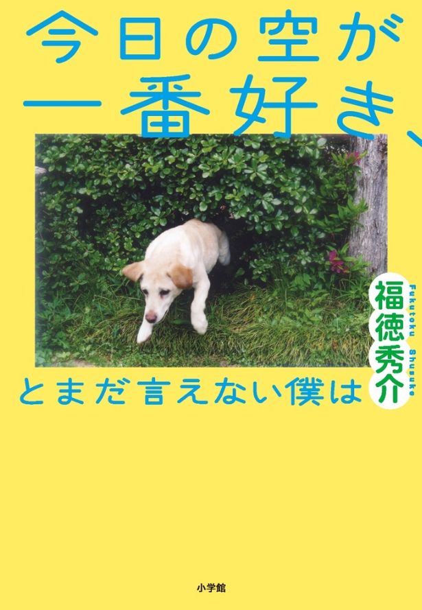 【写真を見る】福徳秀介の小説家デビュー作「今日の空が一番好き、とまだ言えない僕は」を映画化する