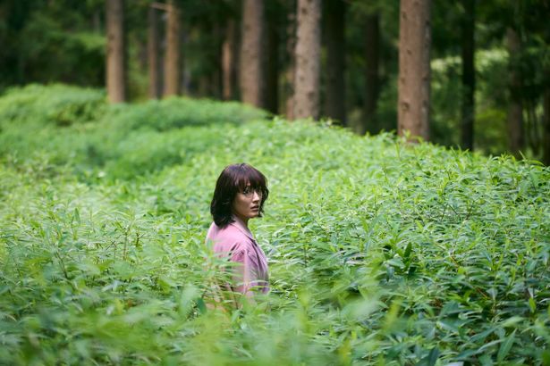 他者とコミュニケーションを取ることをあまりしないトンボは、⾵変わりな⼥の⼦ハルと出会い、そこから物語が展開していく