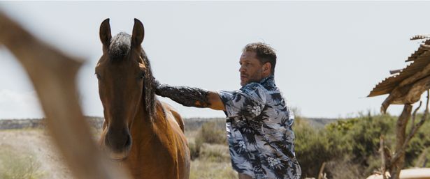 【写真を見る】エディを介して馬に寄生!?話題の“馬ヴェノム”のシーンも