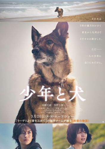 高橋文哉＆西野七瀬W主演『少年と犬』1匹の犬の“奇跡の旅”に迫る特報＆ビジュアル