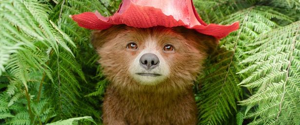 【写真を見る】巨大なハイビスカスの花を被った子グマパディントン