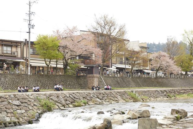 日本で一番広い市町村・高山市の中心を流れる宮川。のどかな雰囲気が最高