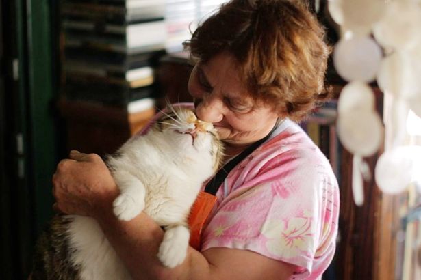 かわいがられ過ぎて、おばちゃんに食べられそう(？)な猫さん