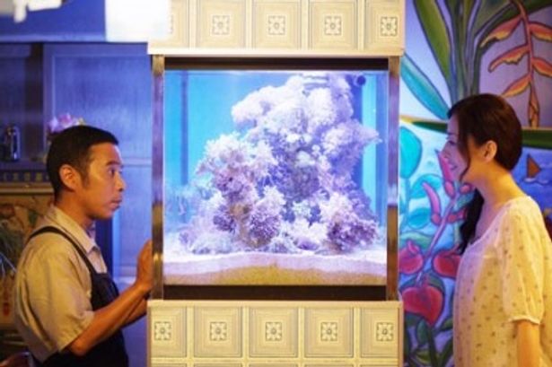 いずれはこんな大きなサンゴ礁に育つ？