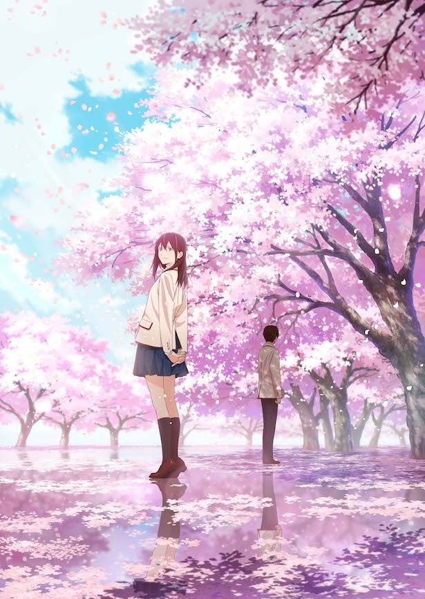 【写真を見る】アニメ版“キミスイ”も桜舞う風景が印象的！キービジュアルはこちら