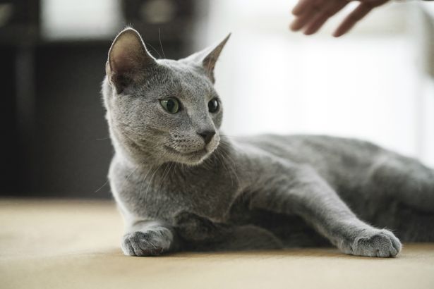 【写真を見る】沢尻エリカが溺愛！可愛すぎる相手役の“グリグリ”とは？