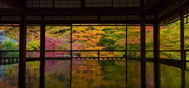 紅に染まる秋の京都・瑠璃光院。自然が生んだ鮮やかな色彩だ
