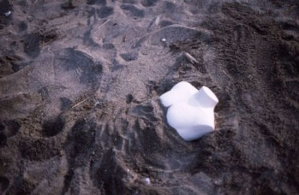 【写真】砂浜に埋まったトルソ