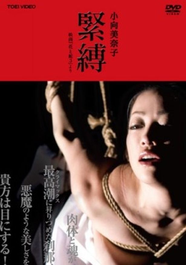 【写真】好評発売中のメイキングDVD「小向美奈子 緊縛―映画『花と蛇3』」
