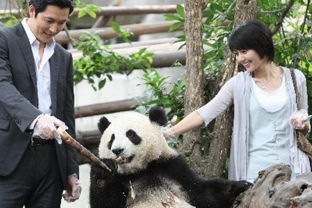 主演は『私の頭の中の消しゴム』のチョン・ウソン。舞台は中国四川省だけにパンダも登場