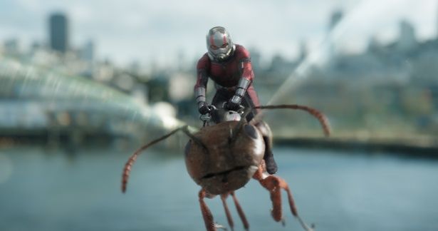 アリに乗って空を飛ぶアントマン