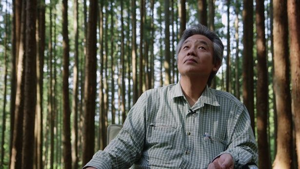 森林浴によって都会人がリラックスすることを科学的に確認した日本の宮崎良文教授