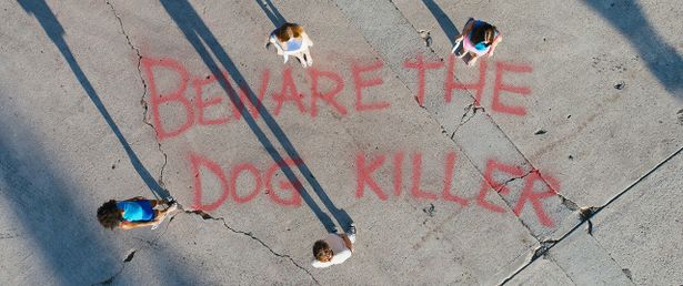 「犬殺しに気をつけろ」という落書きが街のいたるところに出現