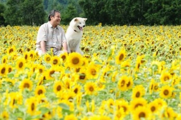 40万本が咲き誇るひまわり畑にてクランクイン