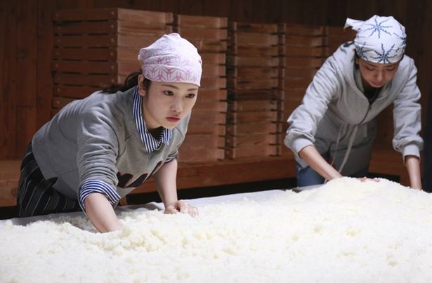 日本酒造りの極意に触れていく詩織(『恋のしずく』) 