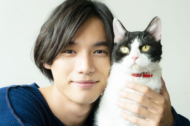 福士蒼汰が主演映画『旅猫リポート』で猫と共演