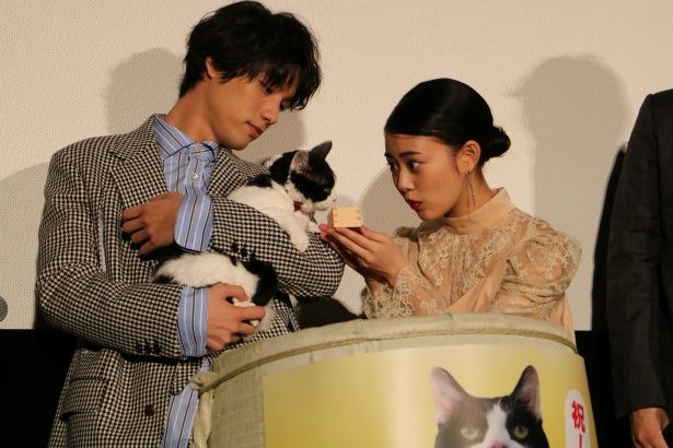 【写真を見る】猫にミルクを飲ませようとする福士蒼汰と高畑充希