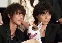 犬のbeckも登場 Beck 初日舞台挨拶でリーダー水嶋ヒロを共演者絶賛 最新の映画ニュースならmovie Walker Press