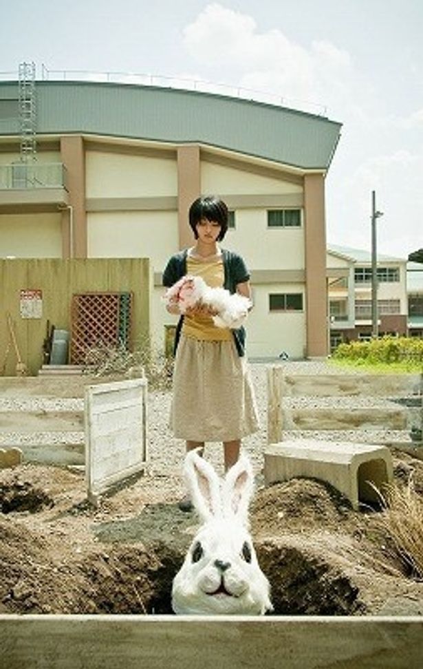 清水崇の監督最新作の3D映画『ラビット・ホラー3D』で満島ひかりが主演