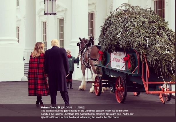 ホワイトハウスにツリーが運ばれ、気分はすっかりクリスマス！
