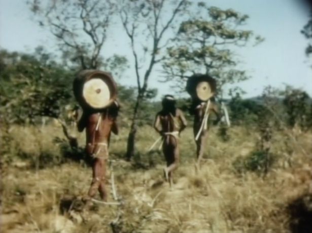 クラホ族の丸太を持っての儀礼的駅伝競争(1949年撮影)