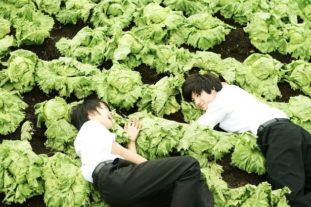 中学生のコウタは親友の伸二を交通事故で亡くしてしまう(『いちごの唄』)