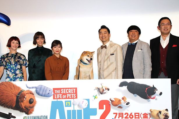 木村カエラ 芝犬まるちゃん との縁に感激 バナナマンも かわいい とメロメロ 画像14 Movie Walker Press