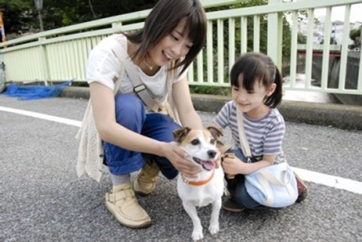 『犬とあなたの物語 いぬのえいが』大抜擢の芦田愛菜、怖かった犬も今ではへっちゃらに