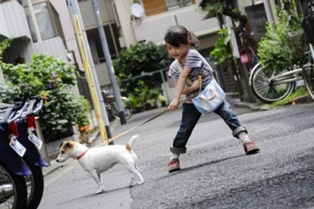 【写真】怖かった犬もこの撮影を通じて平気になったという芦田愛菜