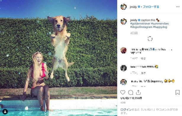 インスタ投稿されたワンコの写真が好評