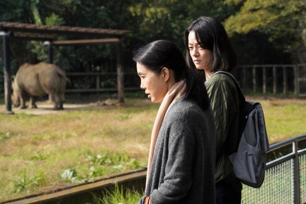 市子と基子は、遊びに行った動物園でちょっとした秘密を打ち明けあう。その一端がのちに大きな問題へと発展していくことに