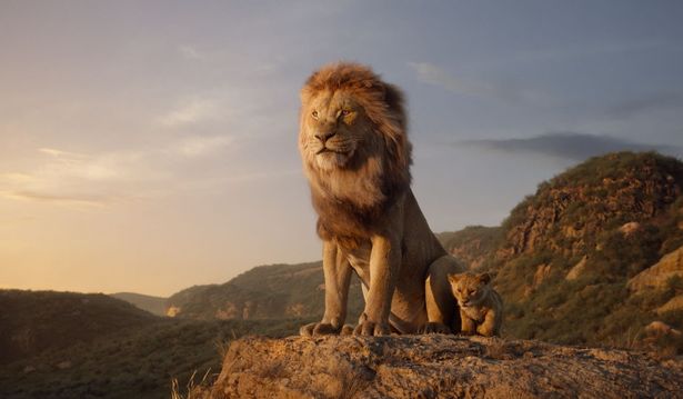 ライオンの王ムファサに息子のシンバが誕生するが、ある悲劇からムファサは命を落としてしまい…