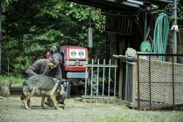 佐藤浩市演じる善次郎は、愛犬レオと安らぎのひと時を過ごす