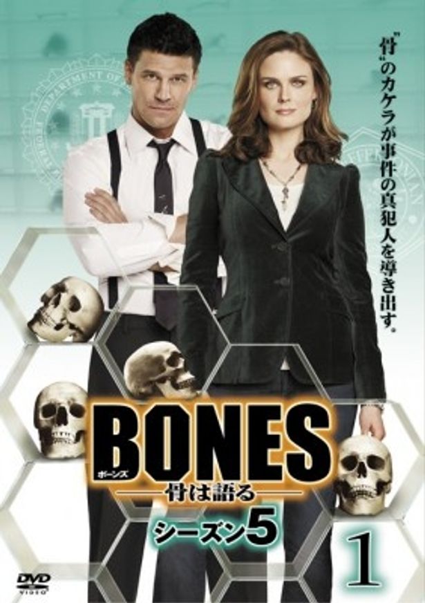 「BONES 骨は語る シーズン5 DVDコレクターズBOX」は4月2日(土)より発売